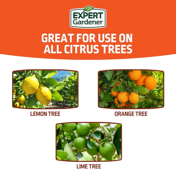 Expert Gardener Citrus Plant Food Fertilizer 6-4-6, 4 lb
