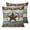 Teal Brown, variant on Sunflower Vintage 20x20 Pillow Covers Set of 2, Farmhouse Botanical Floral Butterfly Throw Pillow Covers Decorative Couch Cushion Case, Microfiber Square Pillowcases for Bedroom Car Living Room