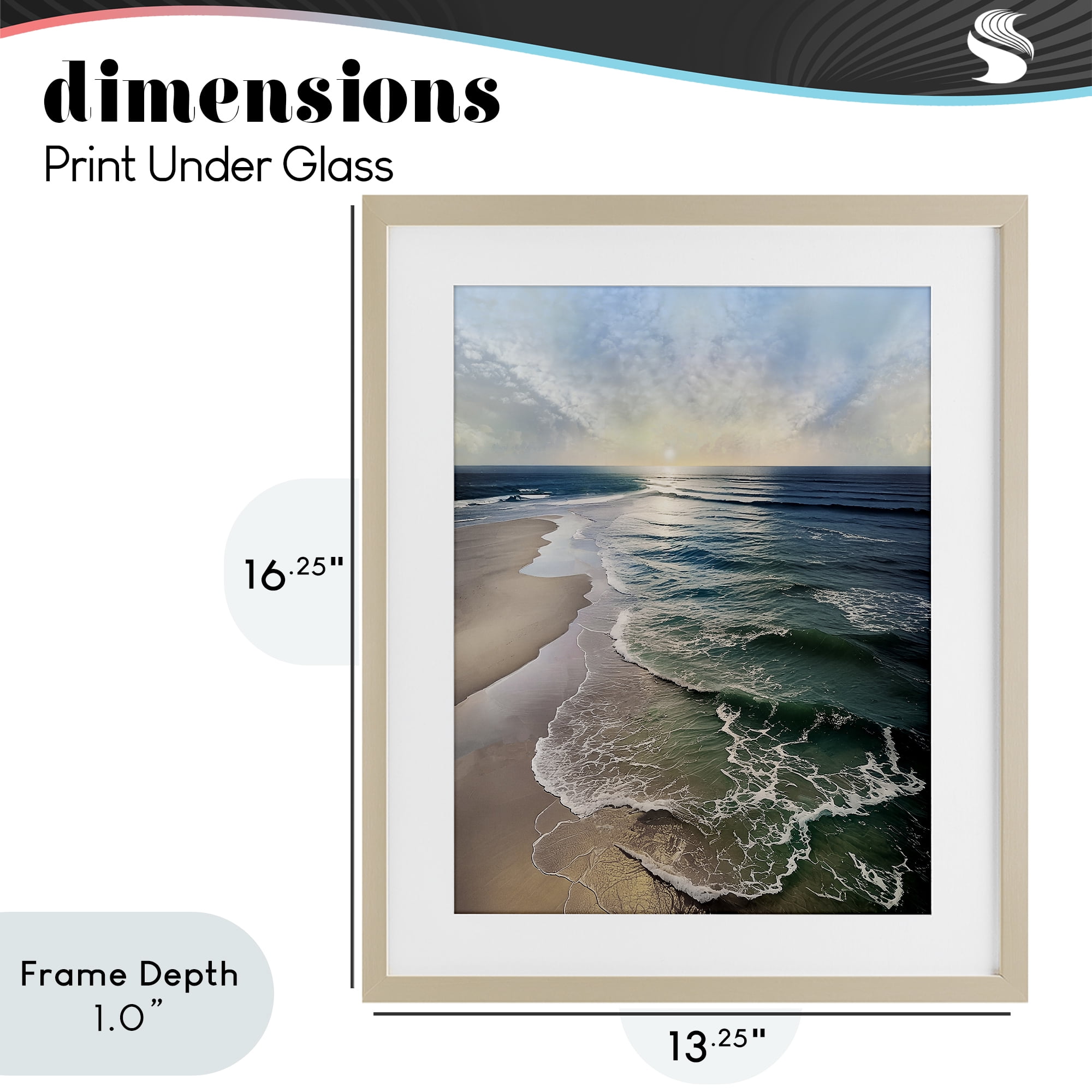 Stupell Industries Tranquil Shoreline with Soft Light Birch Framed Print Under Glass, design by Mike Calascibetta