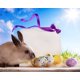 thumbnail image 1 of ABPHQTO 150x220cm día de Pascua huevos conejo fotografía telón de fondo Prop foto de fondo, 1 of 1