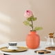 thumbnail image 5 of Mesas de la Sala de Estar Estilo Europeo Decoración de Jarrón, Arreglo Floral de la Sala de Estar, Mesa de Comedor, Casa Moderna, Gabinete de Televisión, Flores Secas, Decoración Suave, 5 of 6