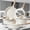 New White, variant on Pan, 12Pot And Pan Set, Non-stick Pan, Kitchen Cookware Set, Non-stick Cooking Set, Including Frying Pan.