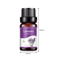 thumbnail image 2 of Aceites esenciales de aceite soluble en agua de 10 ml para difusor de humidificador (lavanda) JShteea  Libre de BPA, 2 of 8