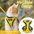 rabbitgoo Cat Harness and Leash for Walking, Escape Proof Soft