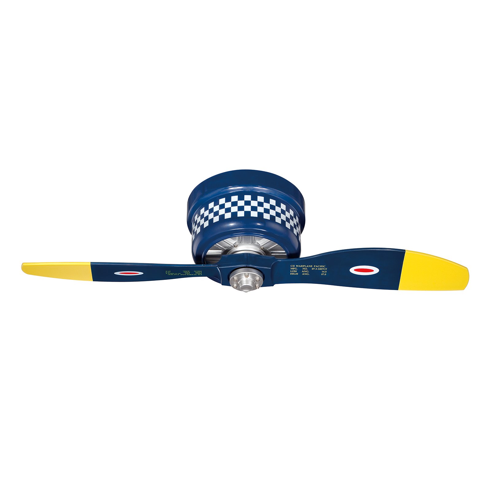 Indoor Ceiling Fan 