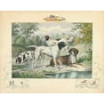 thumbnail image 2 of Unknown 24x20 Black Ornate Wood Framed with Double Matting Museum Art Print Titled - A Group of Spaniels, 2 of 4