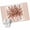 Brown, variant on Eucalyptus Gray Runner Rug 2x6 FT, Non Slip Hallway Carpet, Stripes Bottle Flower Cactus Plant Washable Soft Floor Carpet Throw Runner Carpet Long Rug for Entryway Kitchen Bedside Sliding Door
