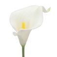 thumbnail image 2 of Ramo de boda Duovlo, 20 unidades, flor artificial de látex con forma de lirio de cala, con toque real, decoración para fiestas en el hogar (blanco), 2 of 6