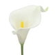 thumbnail image 2 of Ramo de boda Duovlo, 20 unidades, flor artificial de látex con forma de lirio de cala, con toque real, decoración para fiestas en el hogar (blanco), 2 of 6