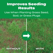 Scotts Turf Builder Starter Food for New Grass, 5,000 sq. ft., 15 lbs.