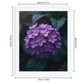 thumbnail image 2 of Paint By Numbers Kit for Adults Beginner - DIY Purple Floral Cluster Blooms Canvas Painting Kits for Adults, Frameless Paint By Number for Adults for Home Wall Decor 16x20 Inch, 2 of 7
