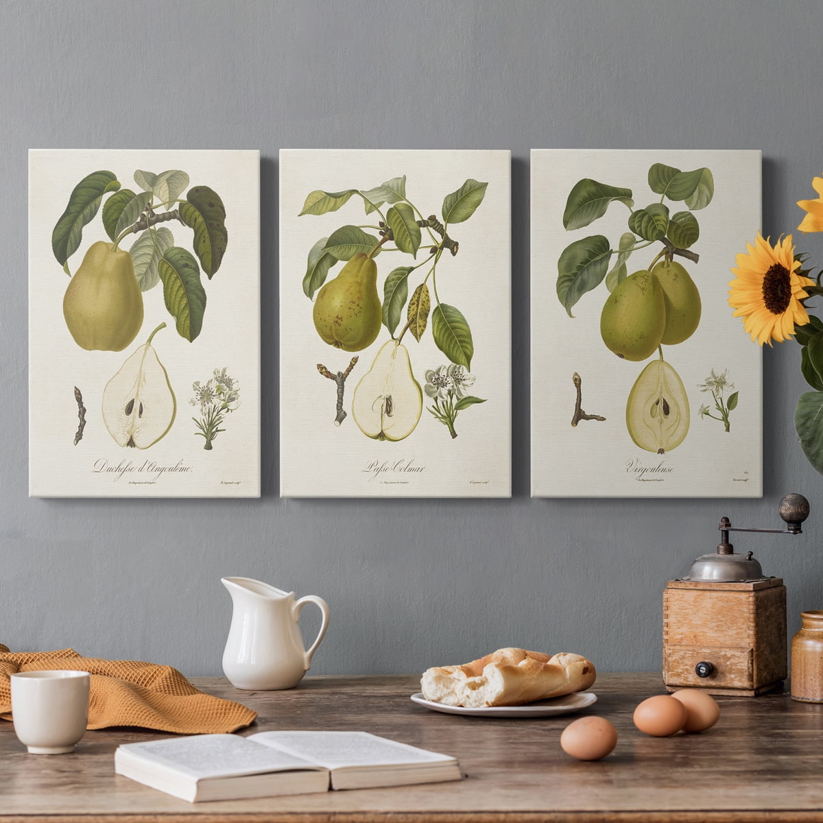 Vintage Pears I Premium Gallery Wrapped Canvas - Ready to Hang - 18 x 27 Each