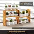 thumbnail image 3 of Small Table Top Plant Shelf,3 Tiered Windowsill Wood Plant Stand Indoor,Narrow Space Succulent Pot Stand Flower Rack for Bay Window Ledge (Wood Oil Coating), 3 of 7