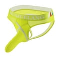 thumbnail image 1 of Birdeem Fashion Ice Silk Panties Briefs Fashion Breathable Nylon Mesh Boxers, 1 of 1