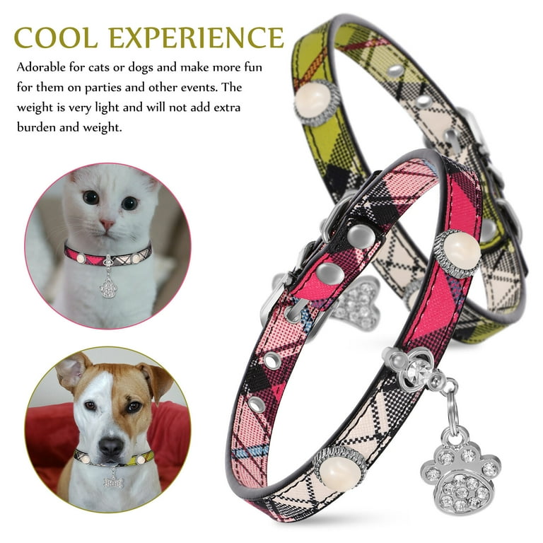 Cool cat collars and hot sale tags