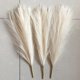 thumbnail image 3 of Hierba de imitación de Pampas para decoración de boda, accesorios de dormitorio, guía de boda, foto de fondo, 45cm, 3 of 4