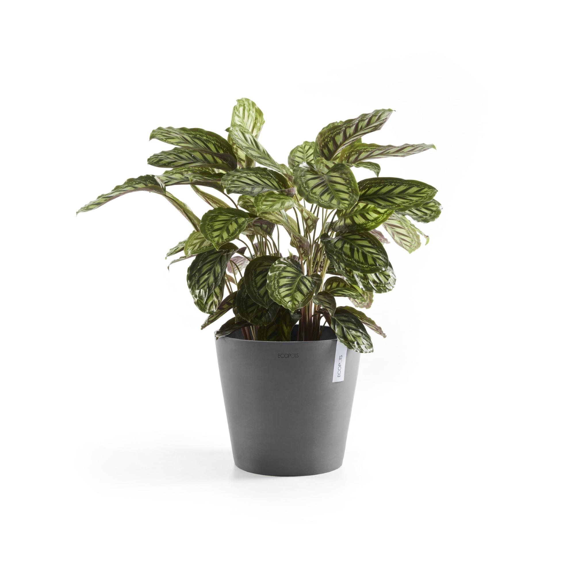 Ecopots Amsterdam Durable Modern Round Indoor/Outdoor Recycled Based Composite Flower Pot Planter, Grey, 12"