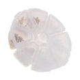 thumbnail image 1 of Boxed Earring Back Earring Backing Kit 400pcs 8 Clutch Earring Back Earring styles gold, 1 of 8