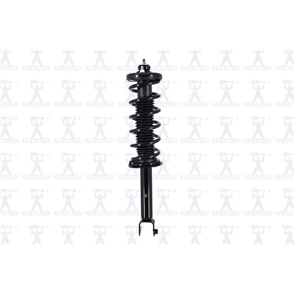 Suspension Strut and Coil Spring Assembly