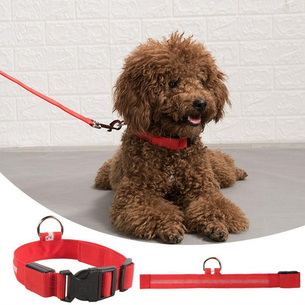 Bright dog collars cheap
