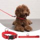 thumbnail image 1 of Collar Iluminado Brillante y de Alta Visibilidad Recargable por USB para Perros XWSHYW, 1 of 6