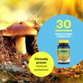 thumbnail image 2 of ImmpowerD3 AHCC Mushroom Extract Plus Vitamin D3 - Immune System Support for Adults - Supports Cytokine Function - 30 Vegetarian Capsules, 500mg of AHCC per Serving, 2 of 7