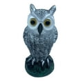 thumbnail image 1 of fastboy Owl Statue Bird Scarecrow Decorative Repellent With Unique Simulation Technology, 1 of 6