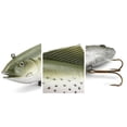 thumbnail image 4 of Mosiee Fishing Lure 20 30Cm High Compatibility Soft Bait With Realistic Design, 4 of 9