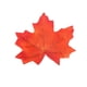 thumbnail image 4 of 50 Unids naranja, 4 of 7
