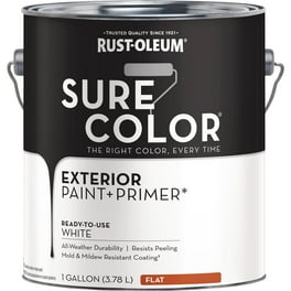 ⚠️ki Rust-Oleum 260737 Automotive Sandable Primer Spray, 12 oz