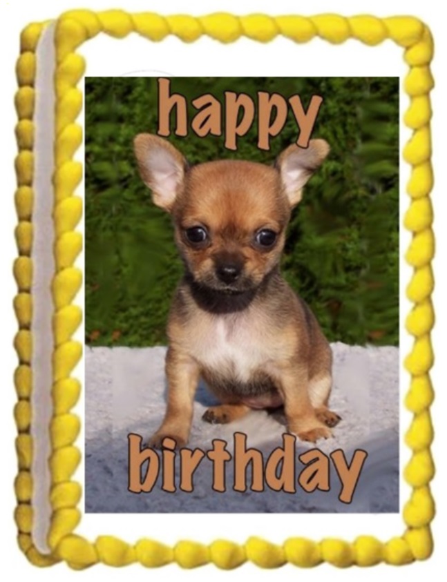 Chihuahua Puppy Image Happy Birthday Edible Cake Topper Walmart Com