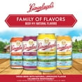 thumbnail image 6 of Leinenkugel's Summer Shandy Craft Beer, 12 Pack, 12 fl oz Aluminum Cans, 4.2% ABV, 6 of 6