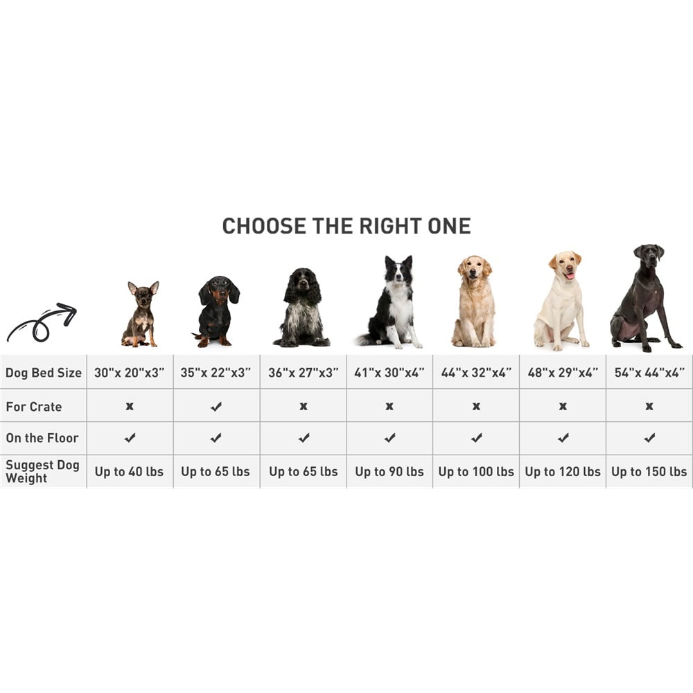 Yl-YANG Waterproof Dog Bed Medium Size Dog Orthopedic Dog Beds for Crate with Removable Washable Cover Egg-Crate Foam Pet Pad Mat with Anti-Slip Bottom, 24-inch Grey (without leather label)