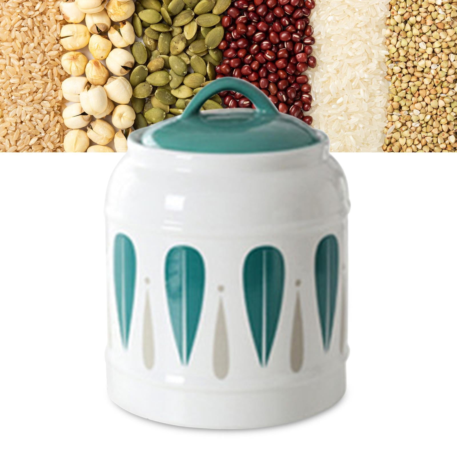 Ceramic Jar with Airtight Lid Food Storage Jar Porcelain Dry Food Container Tea Canister Pet Treat Storage Container for Rice 17cmx20cm