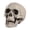B, variant on OIUR Halloween Skull Head Decor Plastic Realistic Human Skull Figurine for Graveyard Scene Haunted House Bar Home Table Decorations