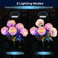 thumbnail image 5 of 6 Pack Solar Garden Lights Outdoor, LED Colorful Waterproof Solar Powered Hydrangea Flowers Landscape Lights for Patio, Outside Yard, Pathway Decorative, Décor, Two Lighting Modes, 5 of 8