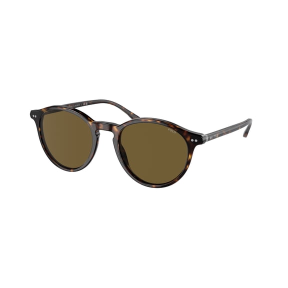Sunglasses Polo PH 4193 500373 Shiny Dark Havana Olive Green