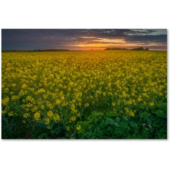 Trademark Fine Art Mathieu Rivrin 'Yellow Planet' 22 x 32 (RV0044-C2232GG)