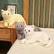 thumbnail image 2 of Gray 30cm Lifelike British Shorthair Cat Plush Toys Cute Stuffed Simulation 3-color Cat Animal Doll Children Home Decor Baby Gift, 2 of 4