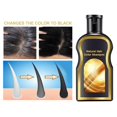 thumbnail image 1 of Champú de Color de Cabello para Cabello Gris, Champú de Tinte Natural para El Cabello, Cabello de Larga Duración, Oscurece El , - 200ml Yinane champú para oscurecer el cabello, 1 of 8