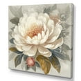 thumbnail image 2 of DESIGN ART Designart "White Grey Peony Blooms In Motion Iii" Floral Peony Wall Art Prints 24 in. wide x 24 in. high, 2 of 5