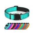 thumbnail image 1 of Reflective And Breathable Nylon Dog Collar, 1 of 4