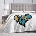 thumbnail image 4 of Coastal Carolina University Fleece Blanket, Very Soft Microfiber Flannel Blanket for Couch Warm and Cozy for All Seasons, 4 of 6