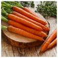 thumbnail image 4 of Everwilde Farms 2000 Tendersweet Carrot Plant Seeds, Open Pollinated Heirloom, 4 of 4