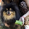 thumbnail image 2 of Dispensador BambooPet de Bolsas para Desechos de Perro, Biodegradable, con Gancho, Color Verde, 2 of 5