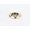Unlacquered Brass, variant on Alno A615-34-PB/NL Traditional 3/4" Round Solid Brass Ring Cabinet Knob Backplate - Brass