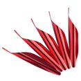 thumbnail image 1 of 50 Uds. De plumas en espiral de 2,3 pulgadas Diy, lazo inverso de plumas en espiral, lazo competitivo, rizo de plumas, FeatherRedFor IPhone 12ProMAX, 1 of 5