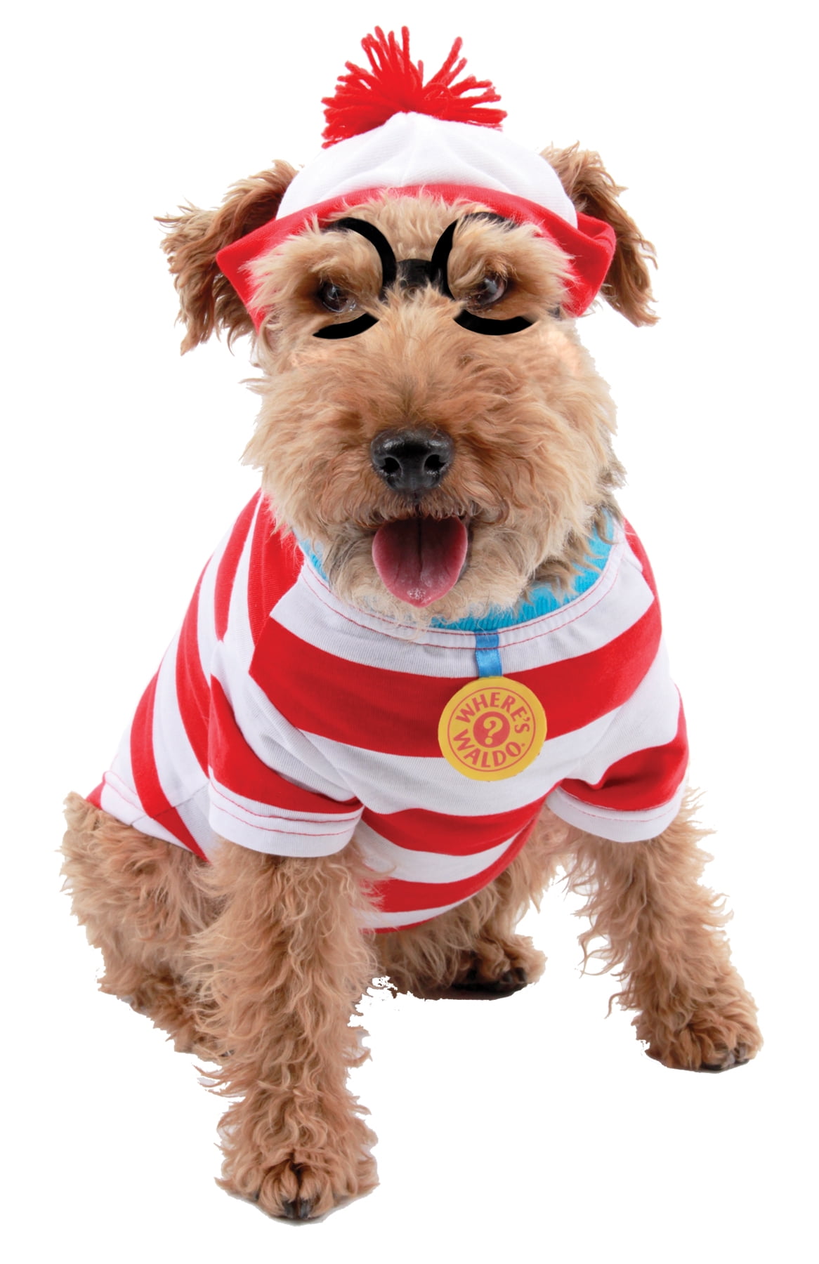 waldo dog costume