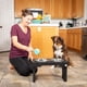 thumbnail image 4 of Cuencos Elevados Ajustables Pet Zone Negro con Doble Cuenco de Acero Inoxidable para Perros, 4 of 8