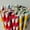 Red Stripe, variant on 100-200 Bulk Packed Paper Straws Pattern Color -Biodegradable FDA Approved